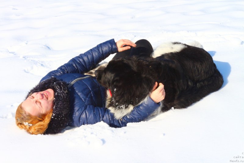 Фотография № 203332