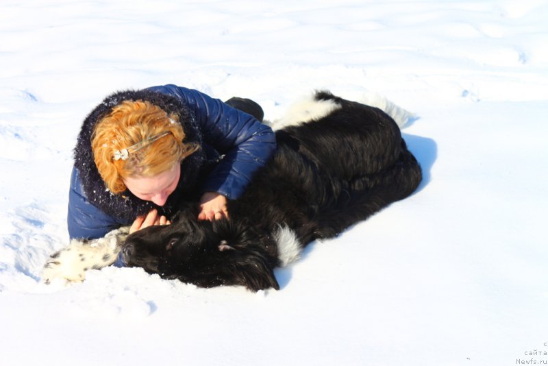 Фотография № 203333