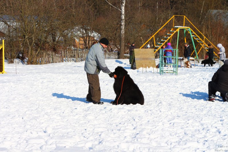 Фотография № 203334