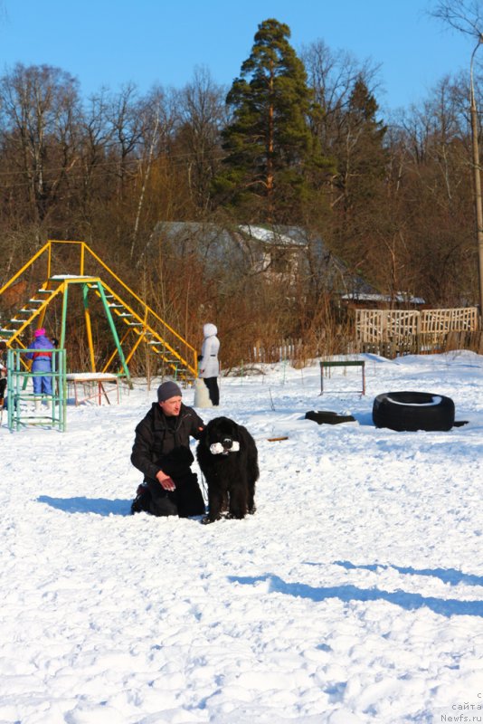 Фотография № 203335