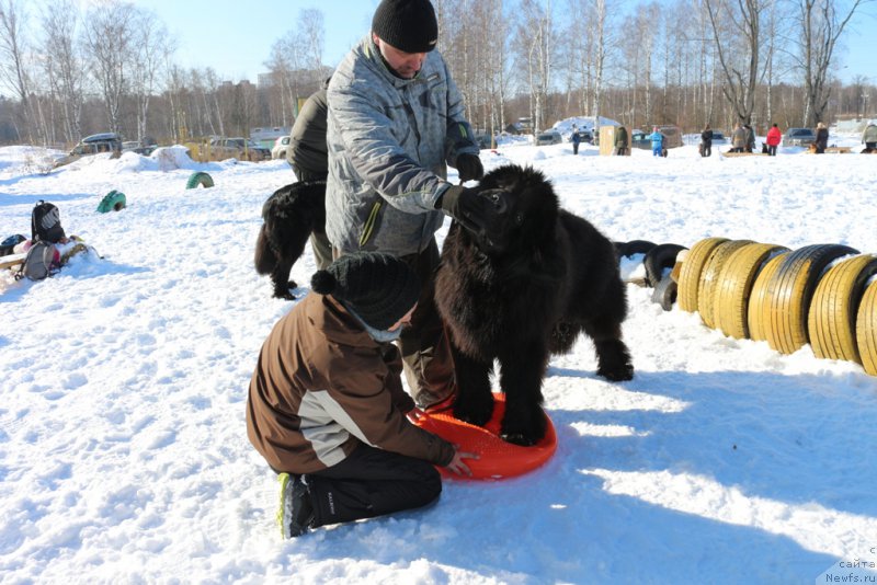 Фотография № 203337