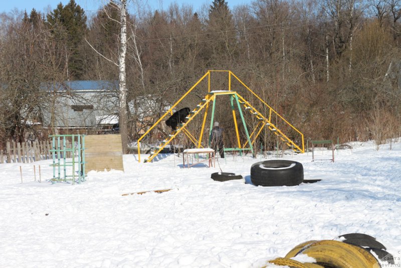 Фотография № 203338