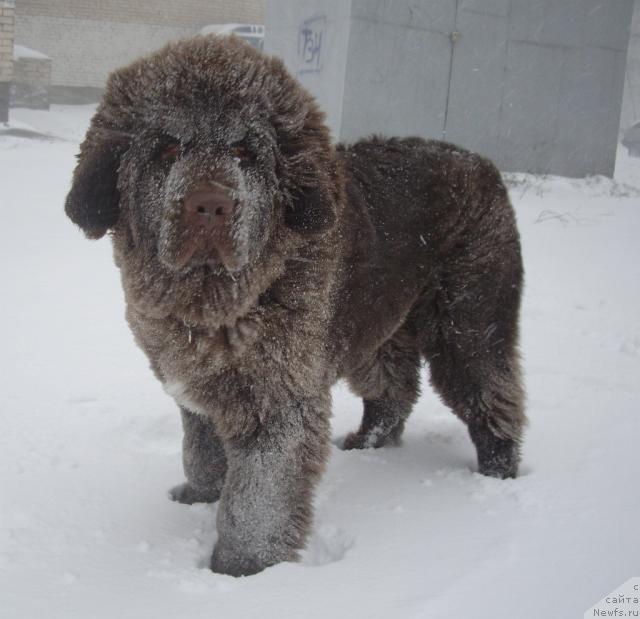 Фотография № 20334