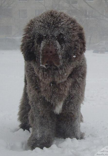 Фотография № 20335