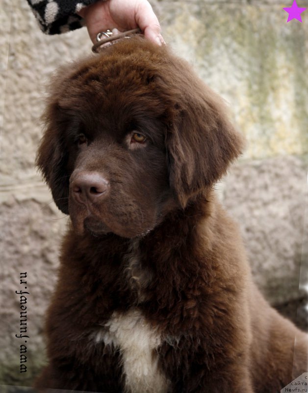 Фотография № 203352