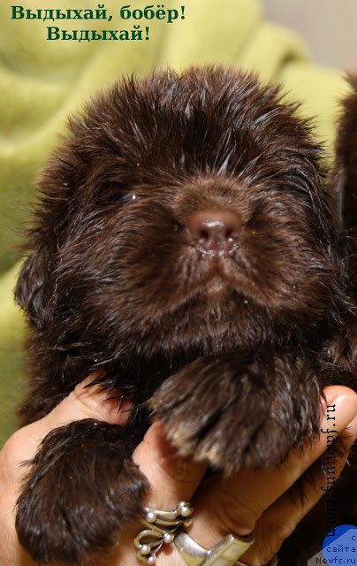 Фотография № 203358