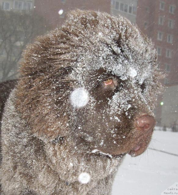 Фотография № 20336