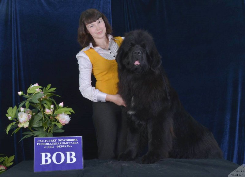 Фотография № 203360