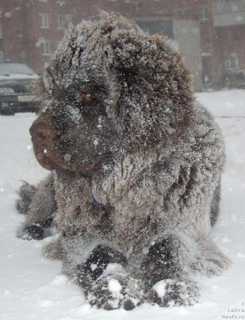 Фотография № 20337