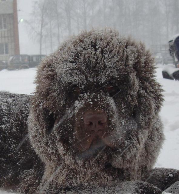 Фотография № 20338