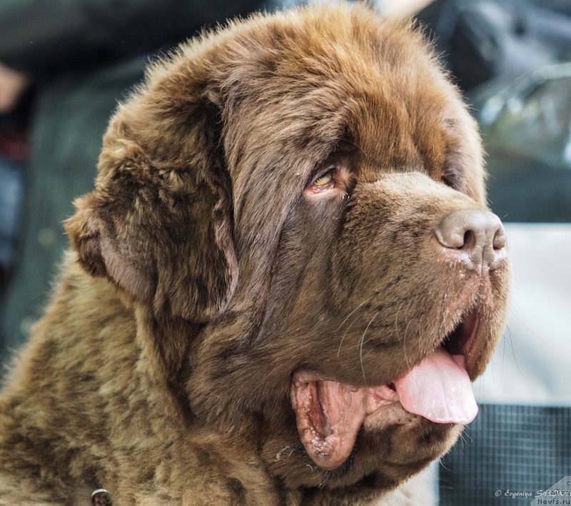 Фотография № 203380