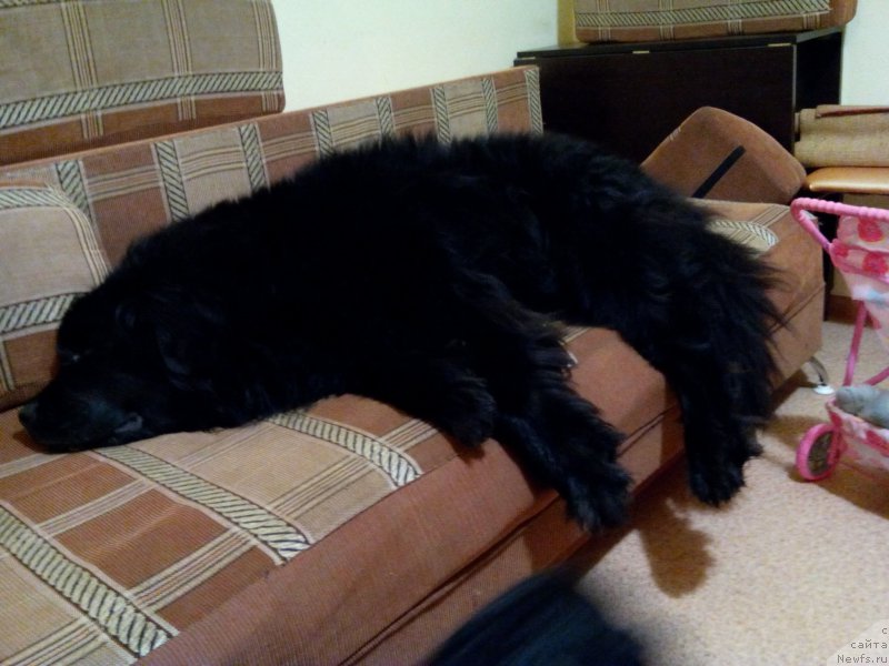 Фото: Кайден