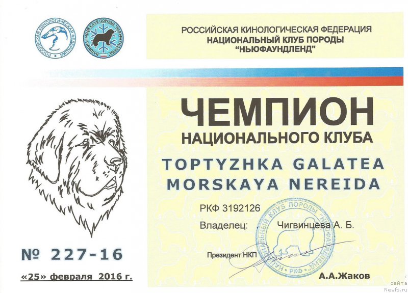 Фотография № 203395