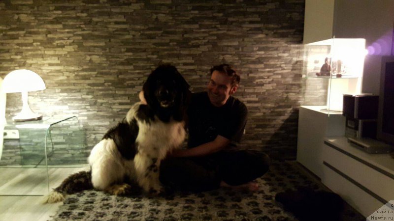 Фотография № 203431