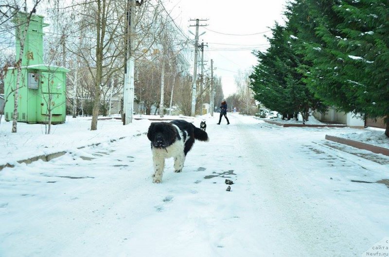 Фотография № 203434