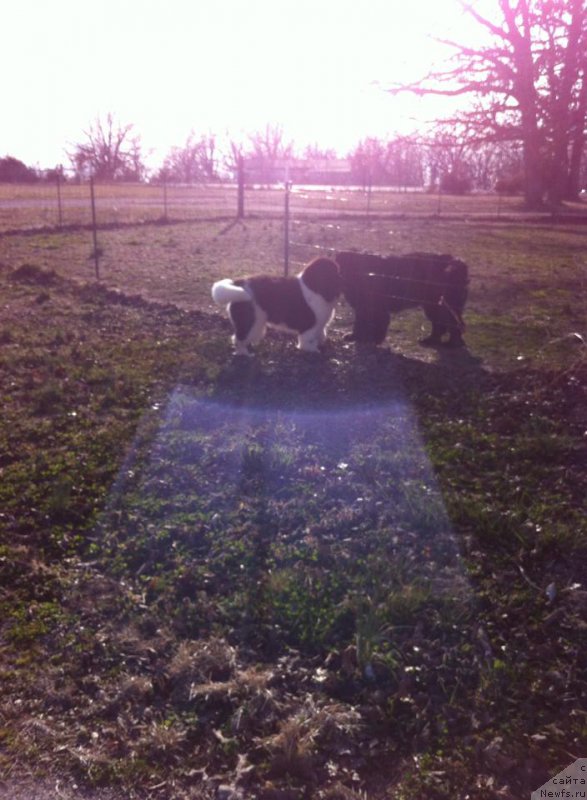 Фотография № 203437