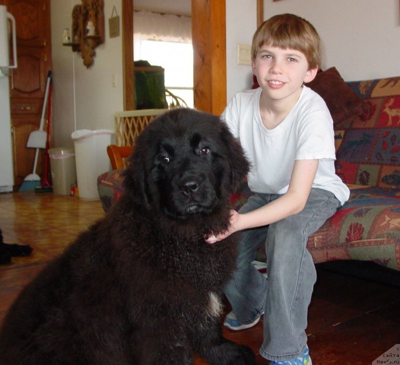 Фотография № 203440