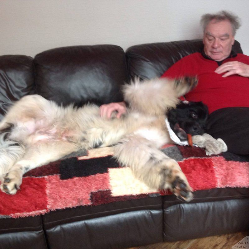 Фотография № 203442