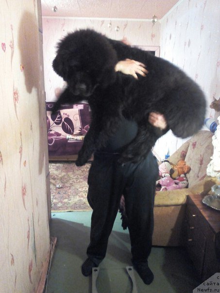 Фотография № 203467