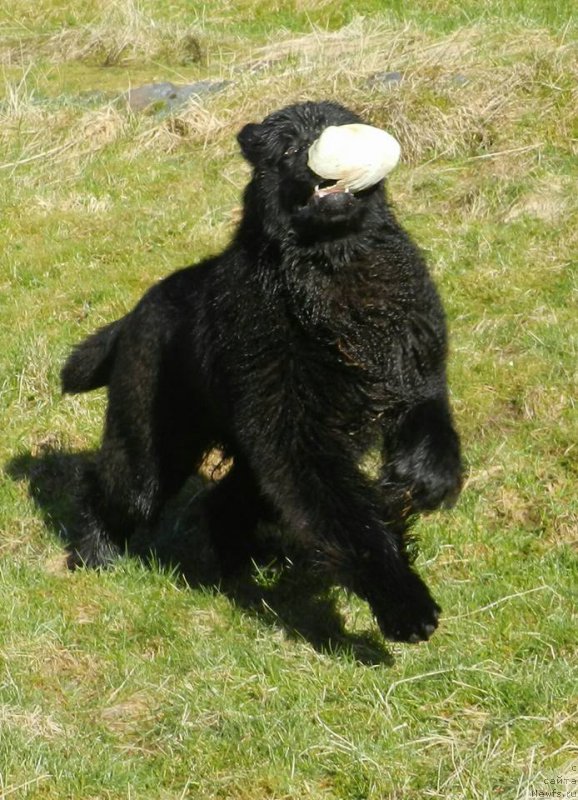 Фотография № 203468