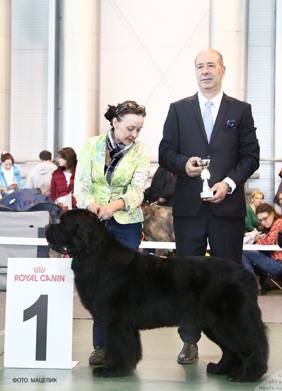 Фотография № 203506