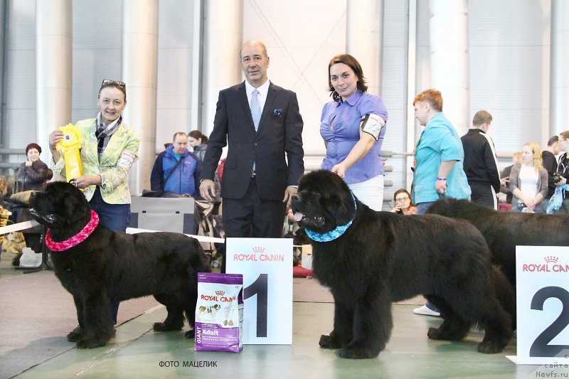 Фотография № 203507