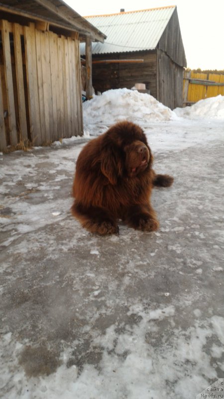 Фотография № 203508