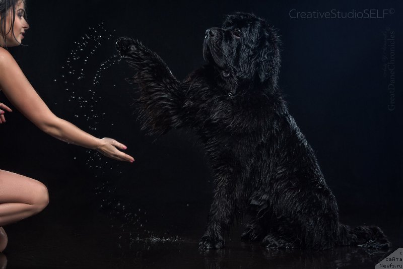 Фотография № 203528