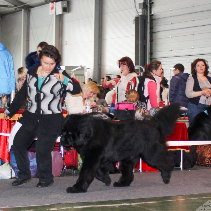 Фотография № 203533