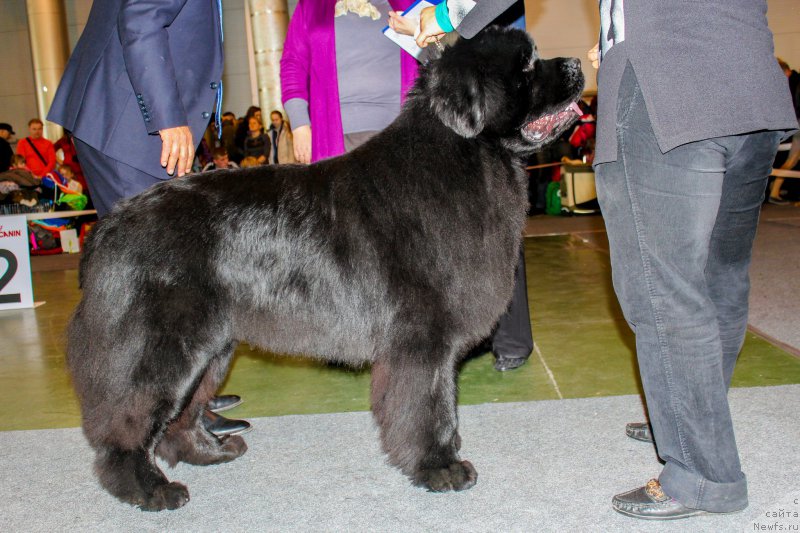 Фотография № 203534