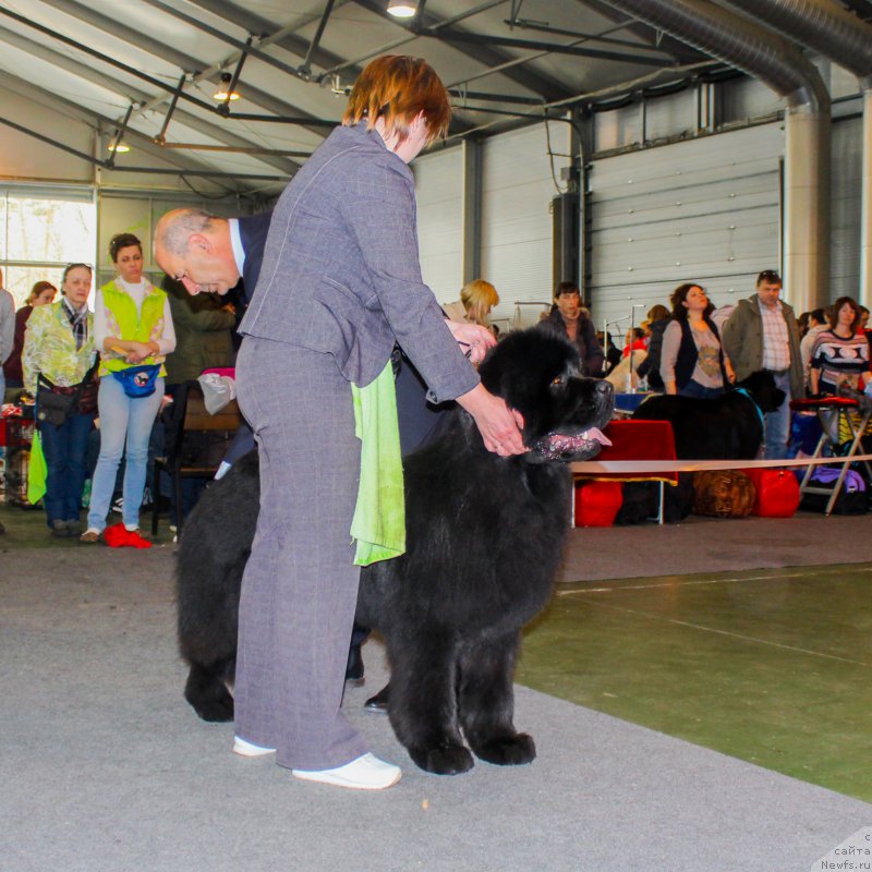 Фотография № 203536