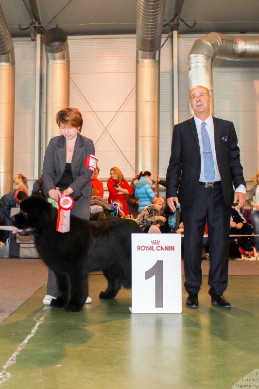 Фотография № 203537