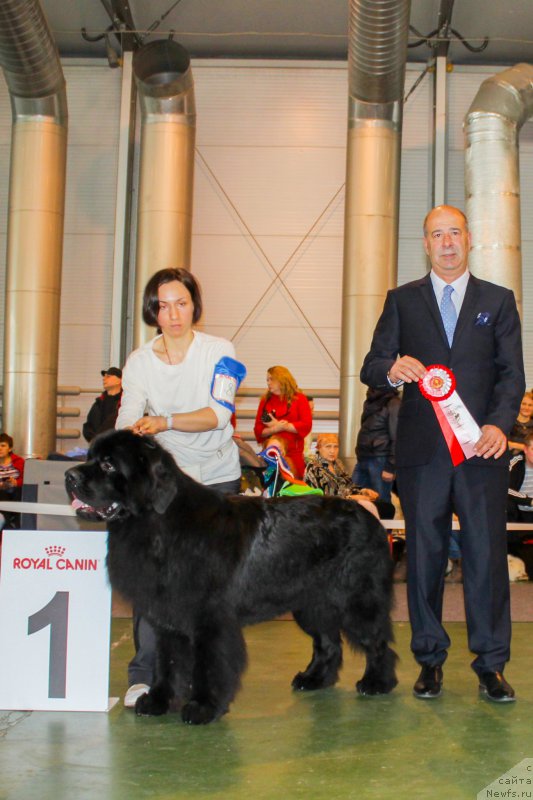 Фотография № 203540