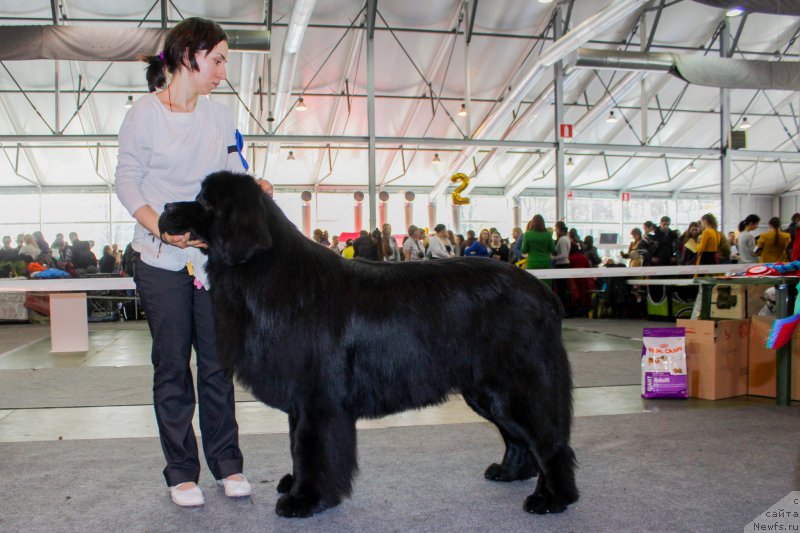 Фотография № 203542