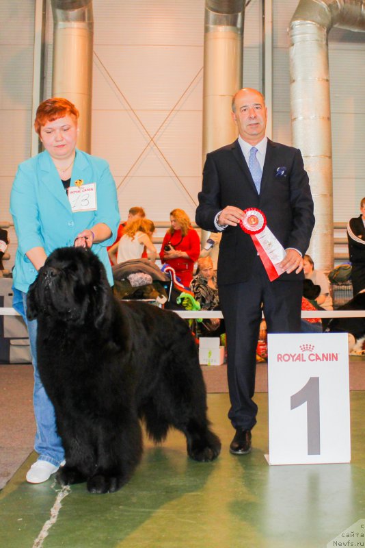 Фотография № 203545