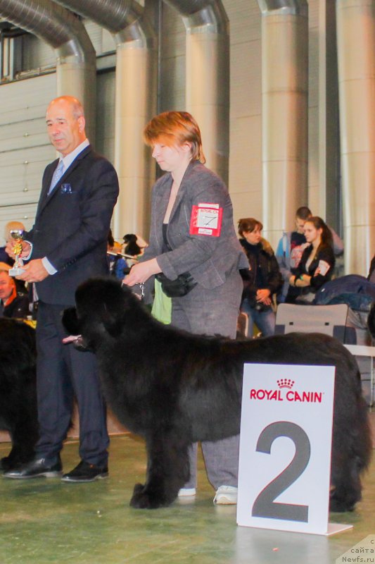 Фотография № 203548