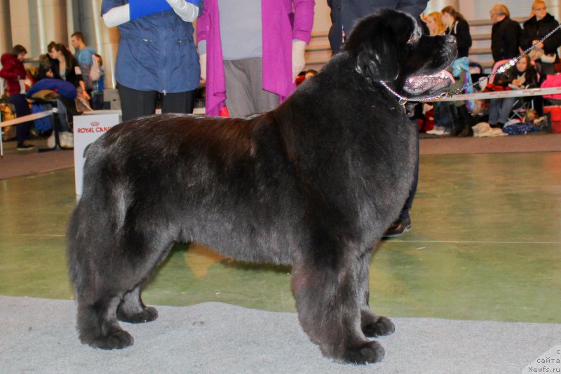 Фотография № 203549