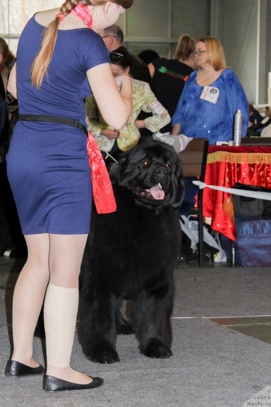 Фотография № 203550