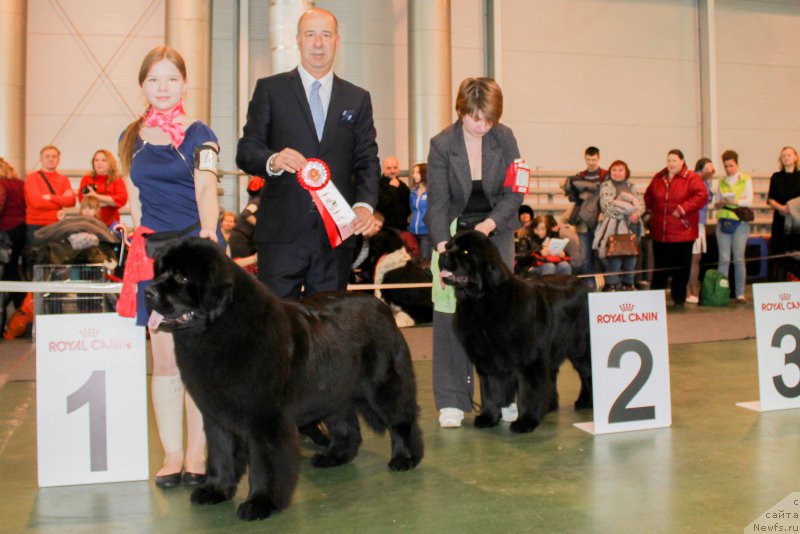 Фотография № 203551