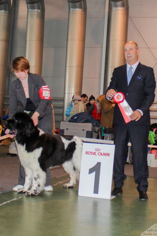 Фотография № 203553