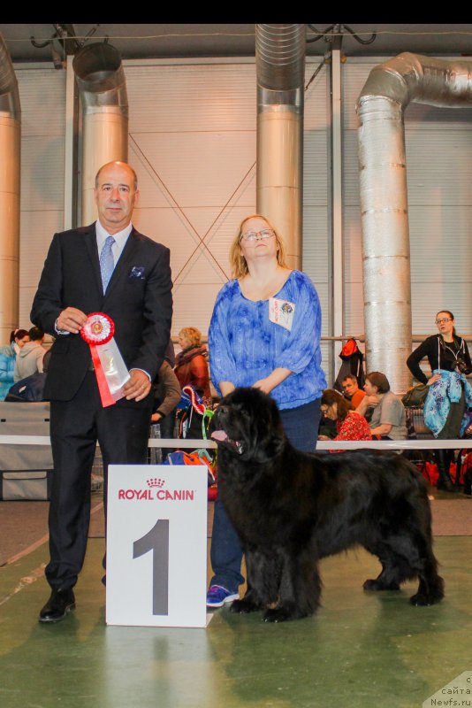 Фотография № 203554