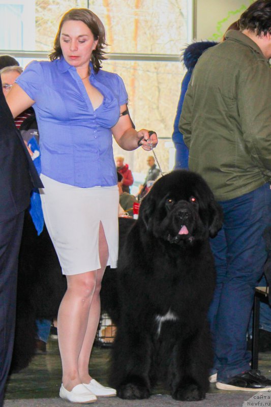 Фотография № 203556