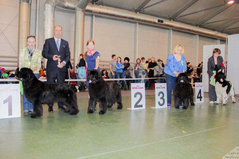 Фотография № 203559