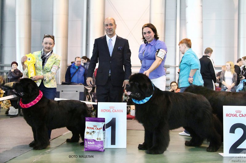 Фотография № 203562