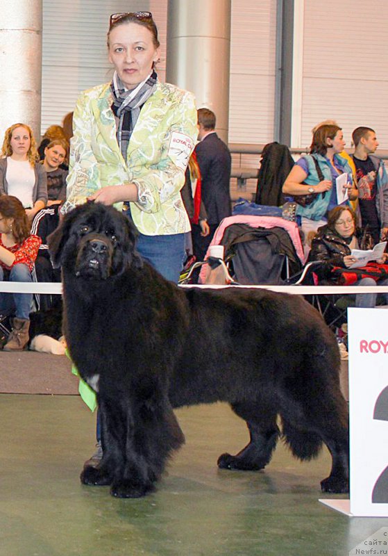 Фотография № 203573