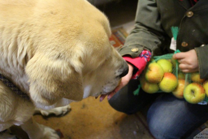 Фото: Лена Зырина