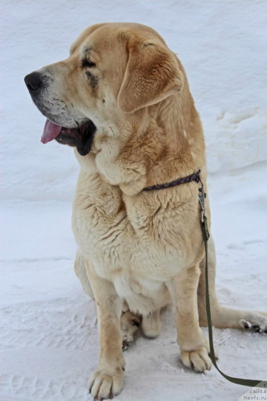 Фотография № 203584