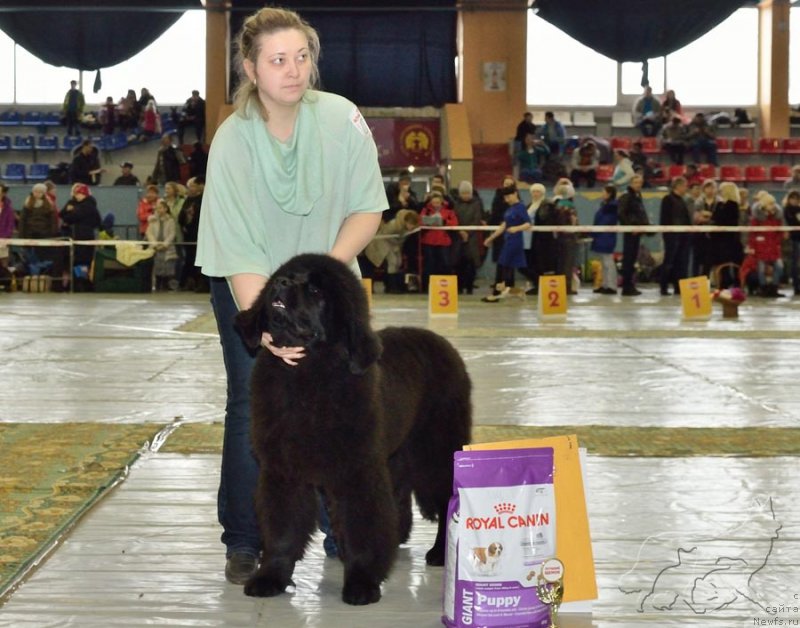 Фотография № 203620