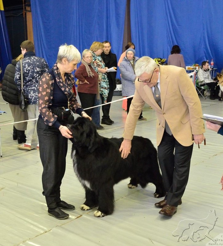 Фотография № 203627