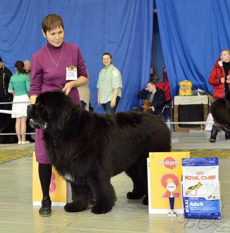 Фотография № 203630